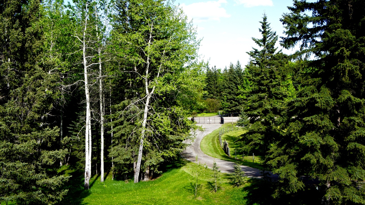 Vacant Land For Sale - 215 Wintergreen Rd, Bragg Creek, AB