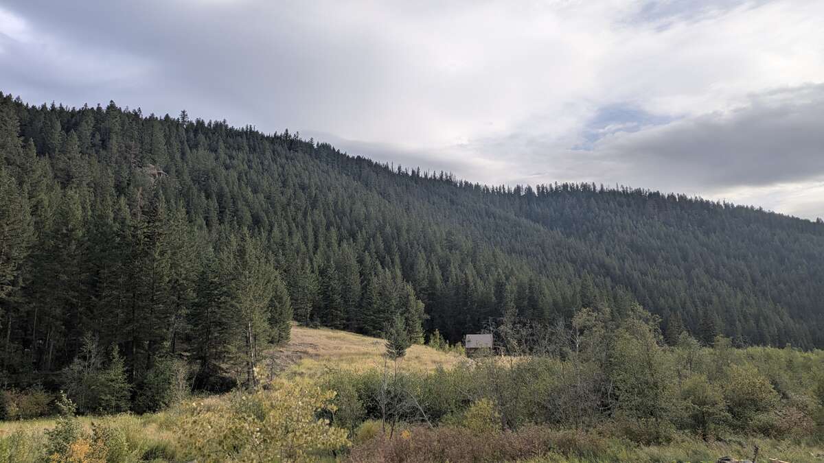 Acreage For Sale - 6930 Big Bar Rd, Clinton, BC