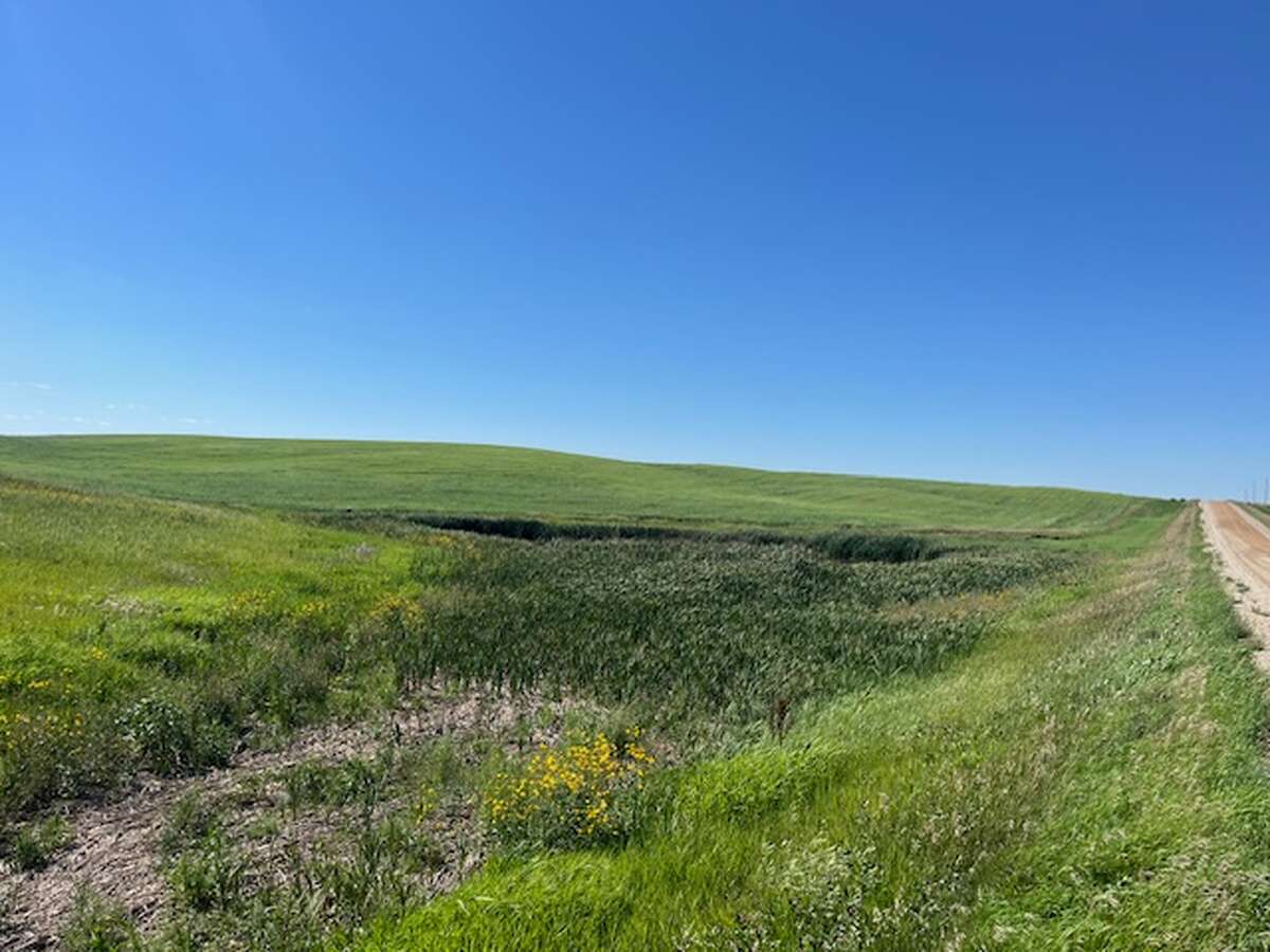 Farm For Sale - NW-22-13-27-W2, Baildon, SK