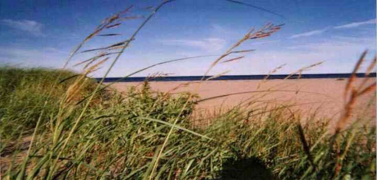 Waterfront Property For Sale - 1310 Route 505, Sainte Anne de Kent, NB