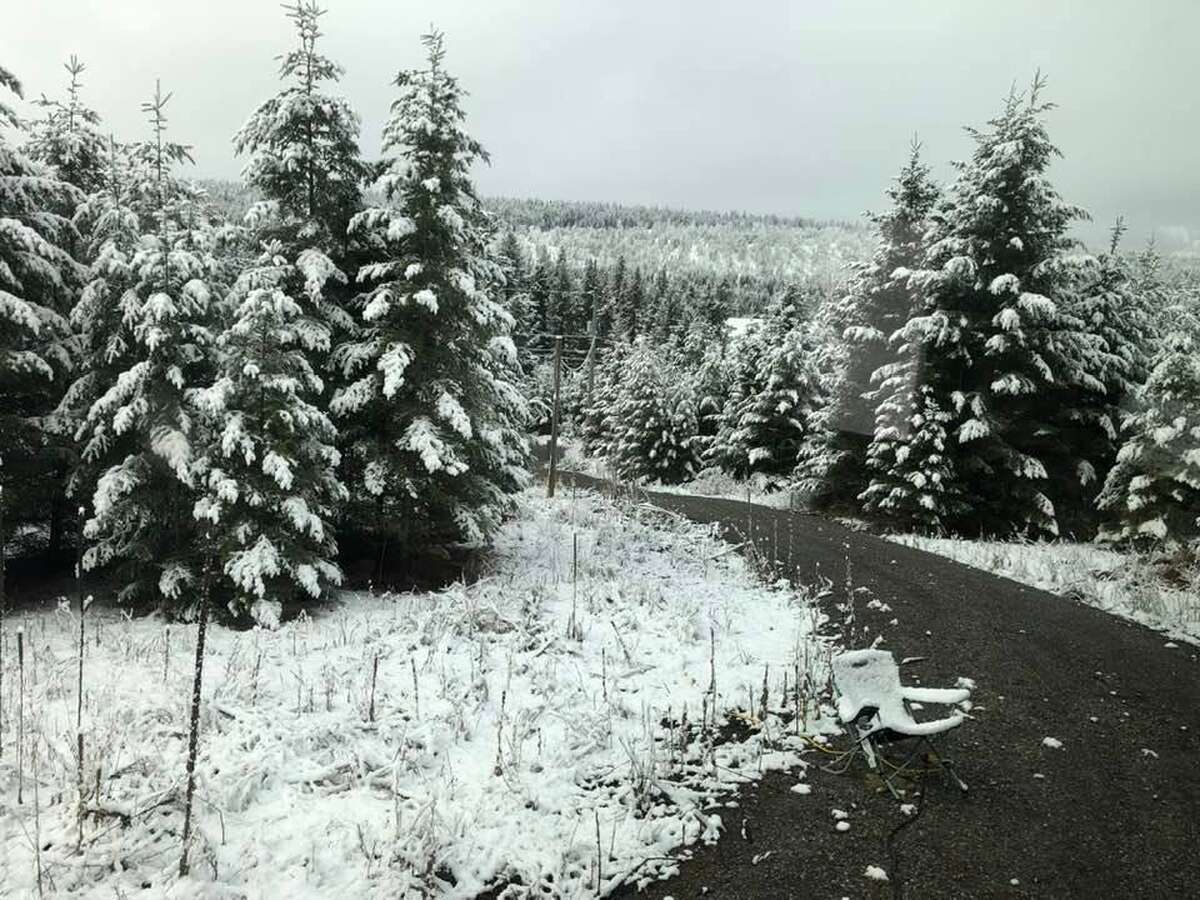 Vacant Land For Sale - 3631 Park Place, Lac La Hache, BC