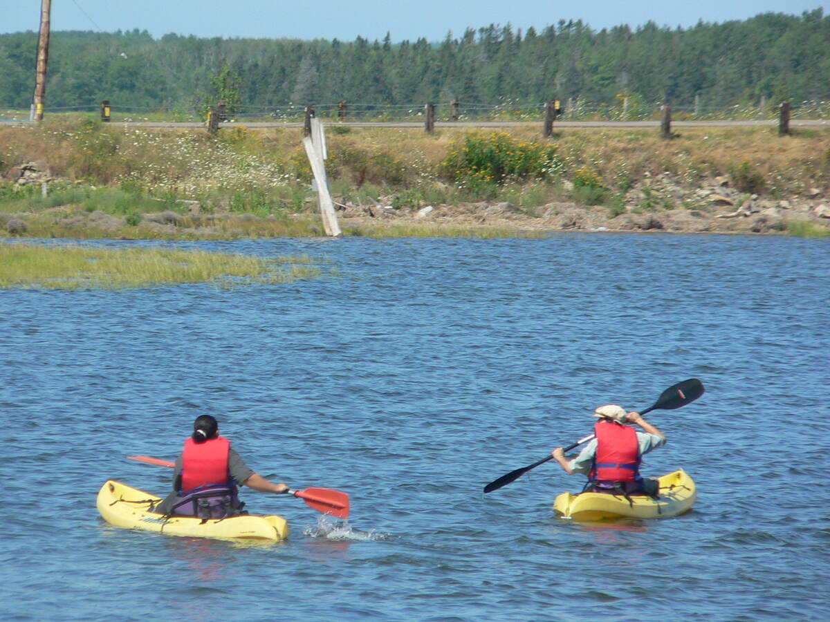 Waterfront Property For Sale - 13769 Hwy 6, Wallace, NS