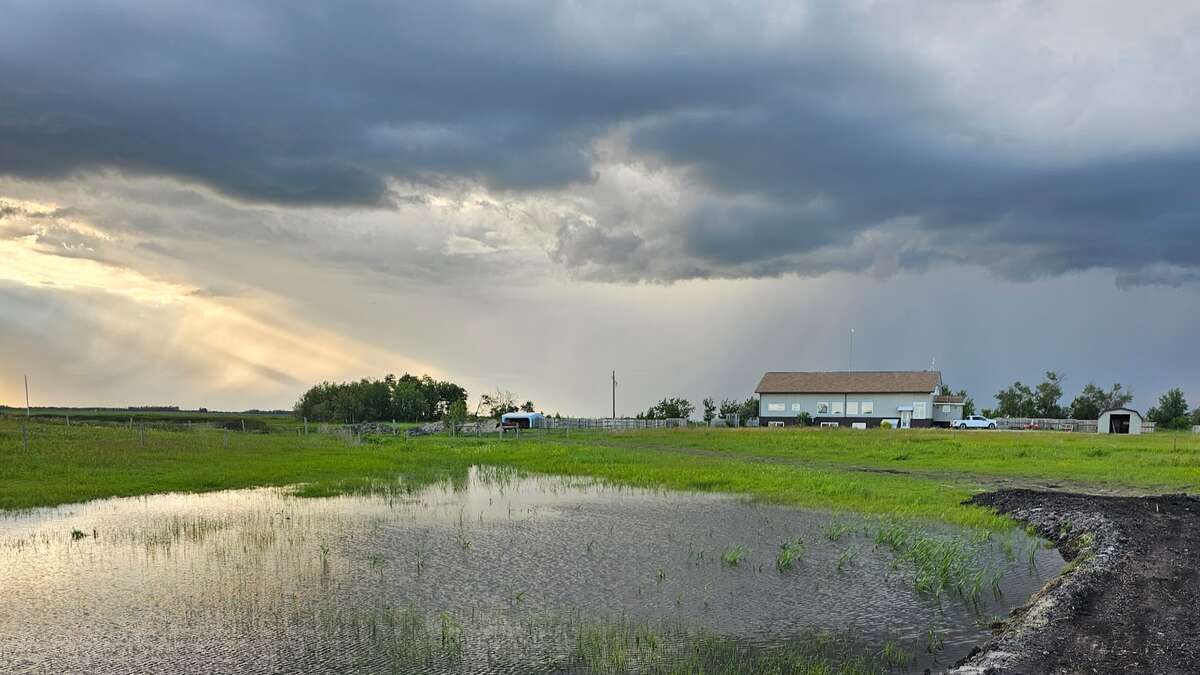 Acreage For Sale - PT SE29-25-5 W2 RM 244, Yorkton, SK