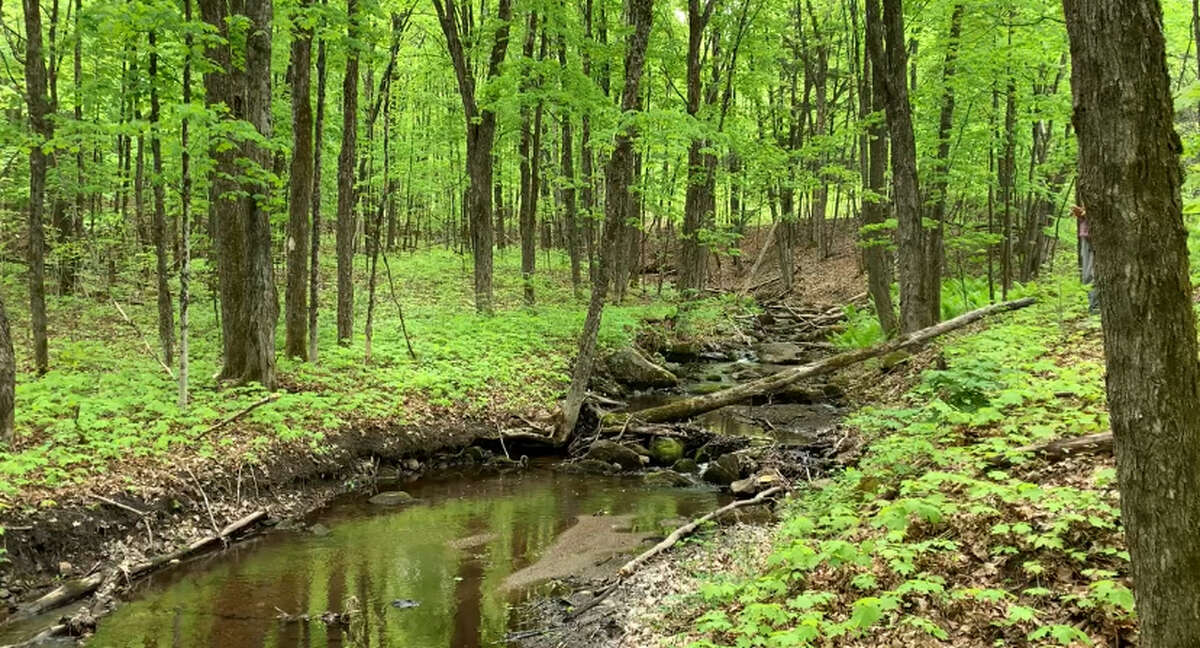 Vacant Land For Sale - Lot 1 Colonial Road, Minden, ON