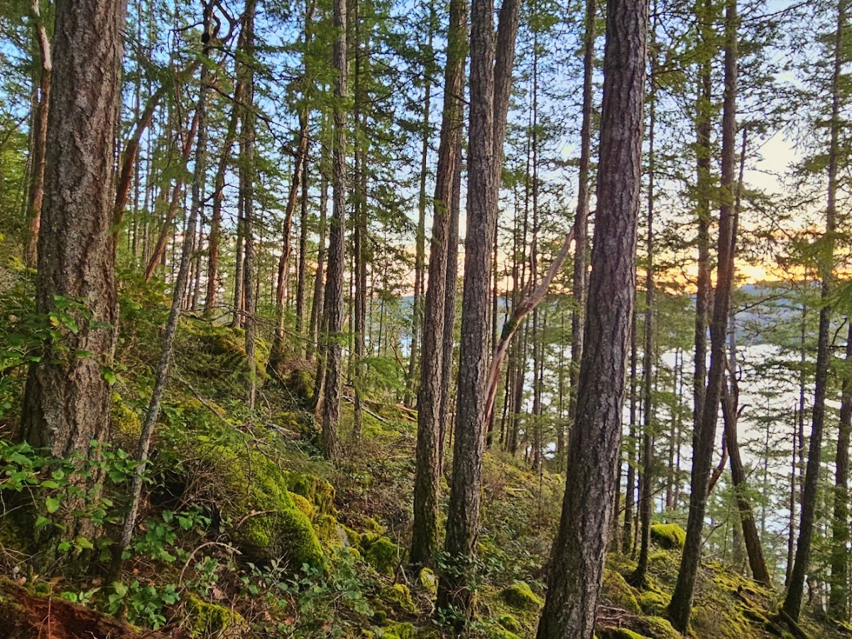 Vacant Land For Sale - Lot 108 Seaview Road, Sechelt, BC