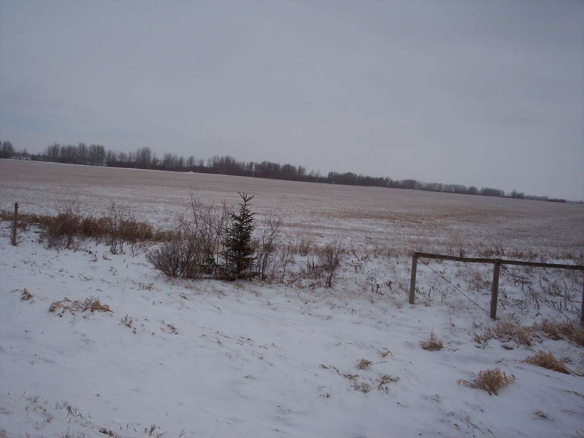 Farm For Sale - NW9-47-26W4, Millet, AB