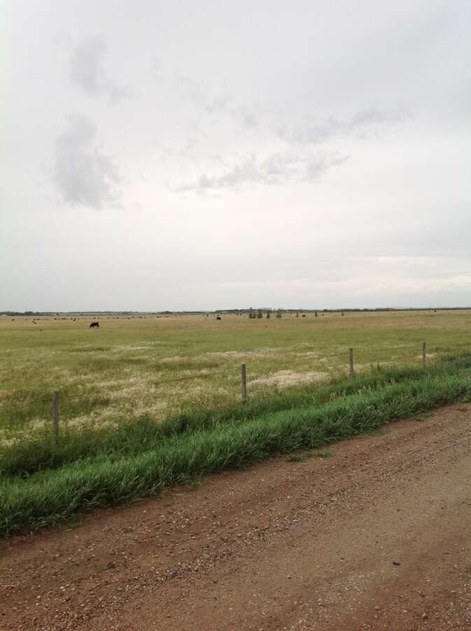 Vacant Land For Sale - NW 25 36 09 W3, Asquith, SK