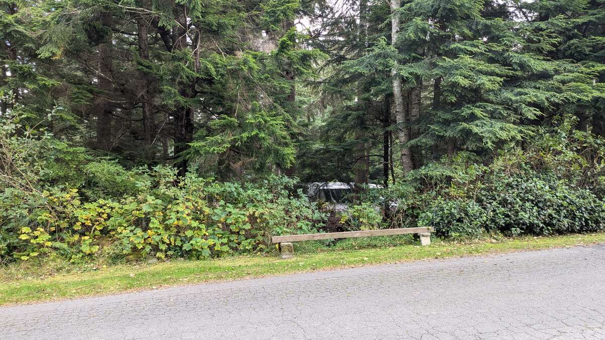 Vacant Land For Sale - 542E Larch St., Alert Bay, BC