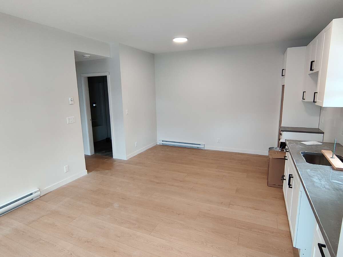 Main Floor - Suite Kitchen/Living