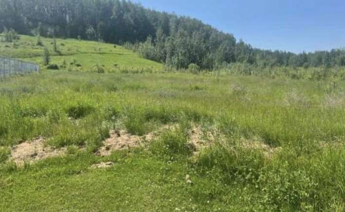 Vacant Lot Off of Highway 2 Entering Slave Lake