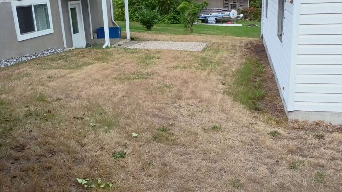 Renovated 5 Bedroom Home in North Castlegar