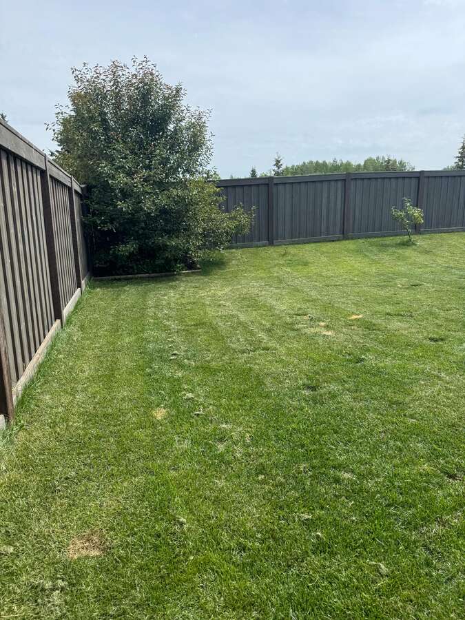 Backyard side of house mulched garden area