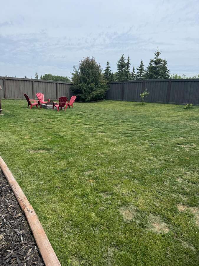 Backyard side of house mulched garden area
