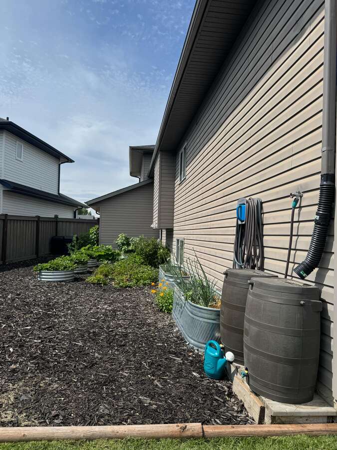Backyard side of house mulched garden area