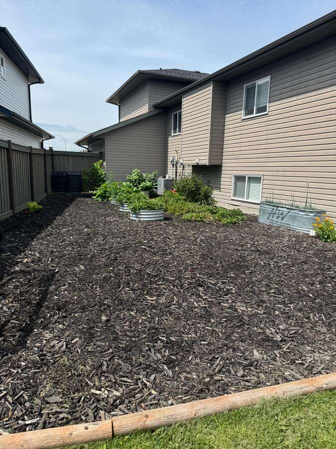 Backyard side of house mulched garden area
