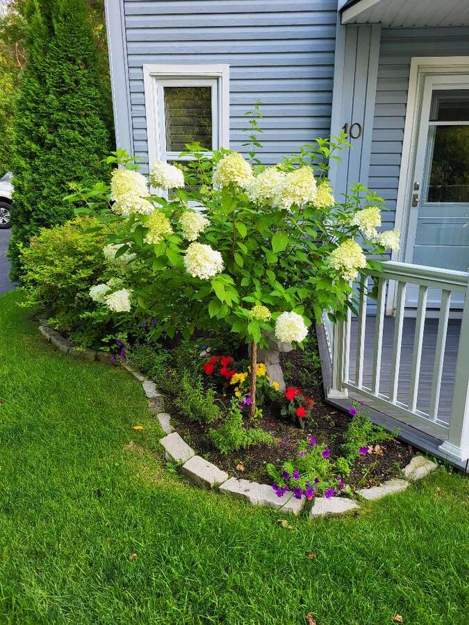 Front Entrance Flower Bed