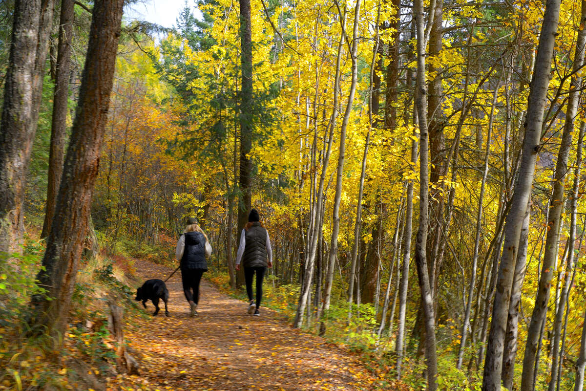 Walk the trails daily with your four-legged companion