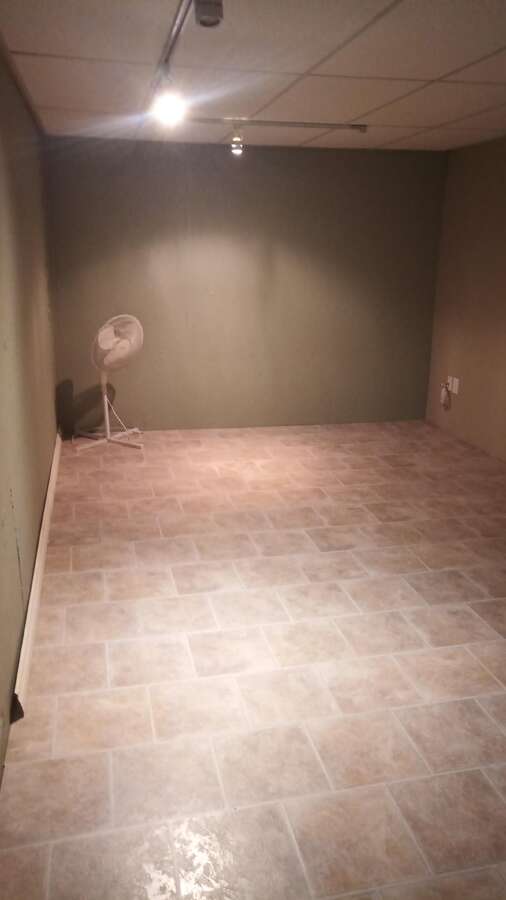 Basement Den