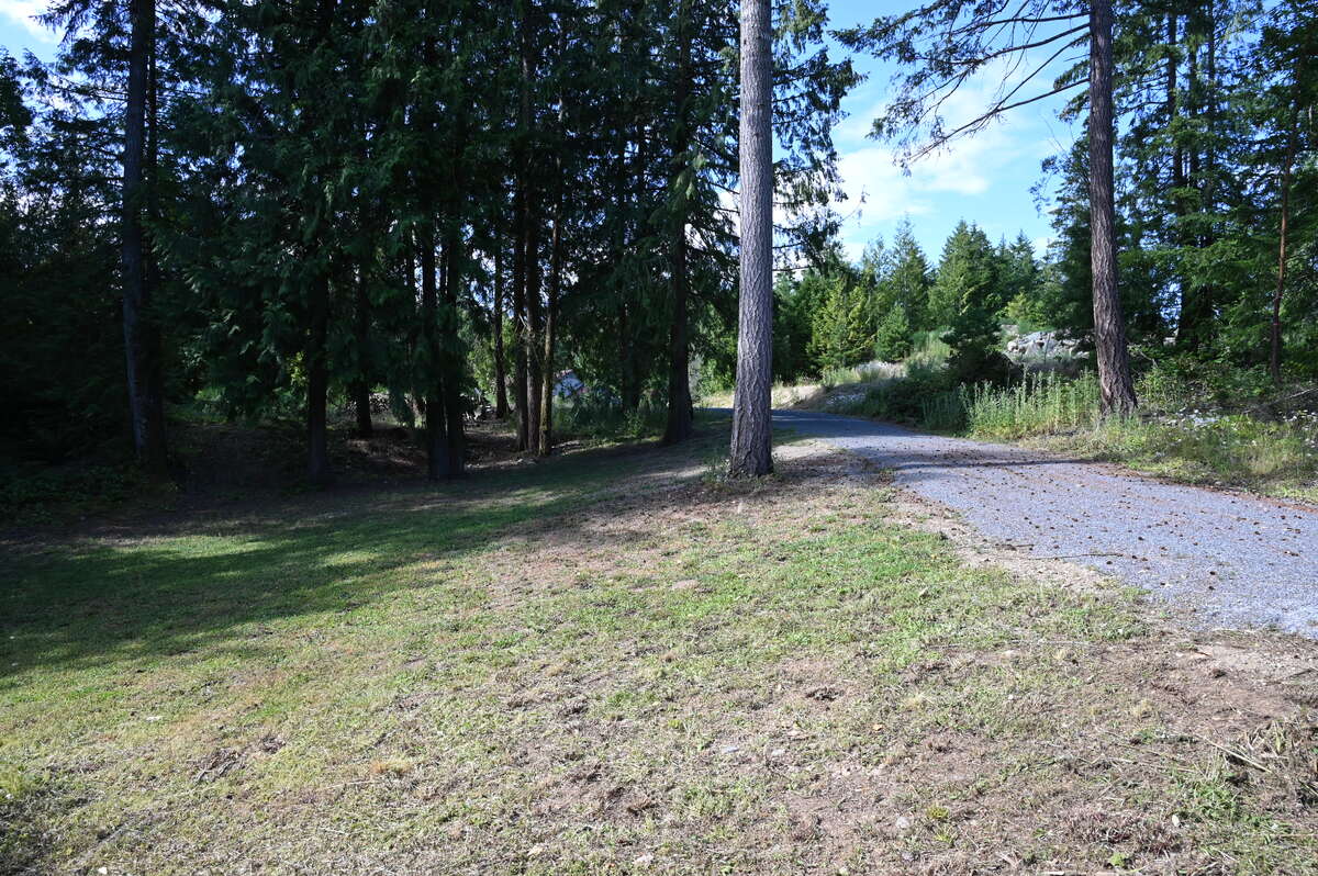 Looking south from centre of lot