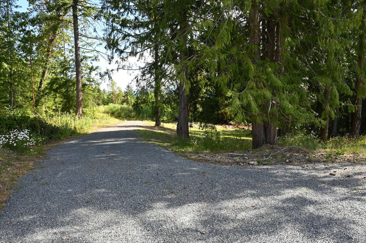 Driveway - looking north into lot