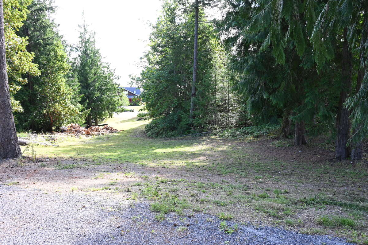 Looking east from driveway