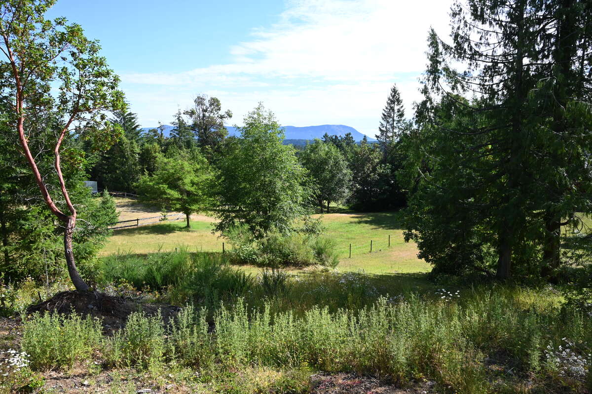 Looking north toward Salt Spring Island from building site