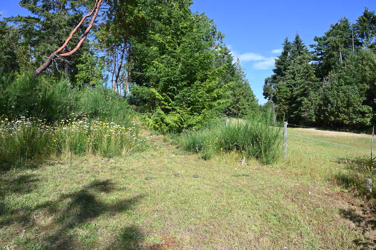 Looking west from the north boundary of lot