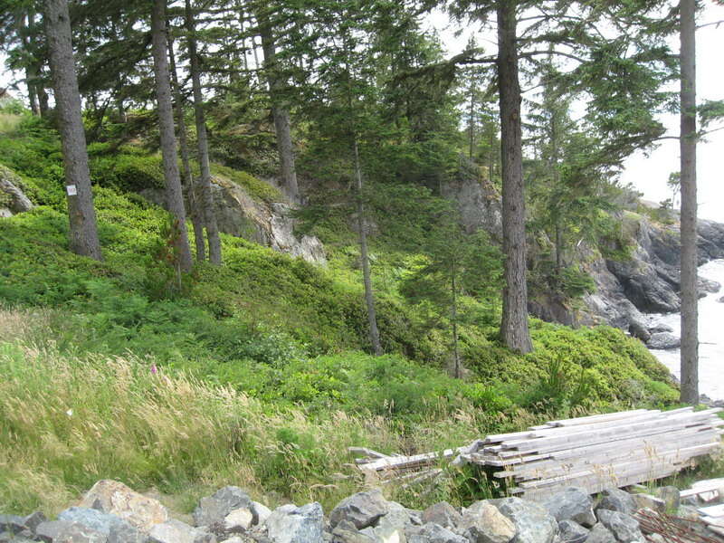 Rare natural rock cove