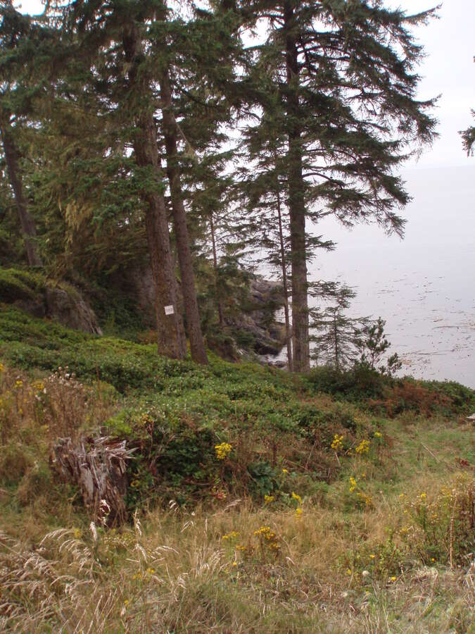 Rare natural rock cove