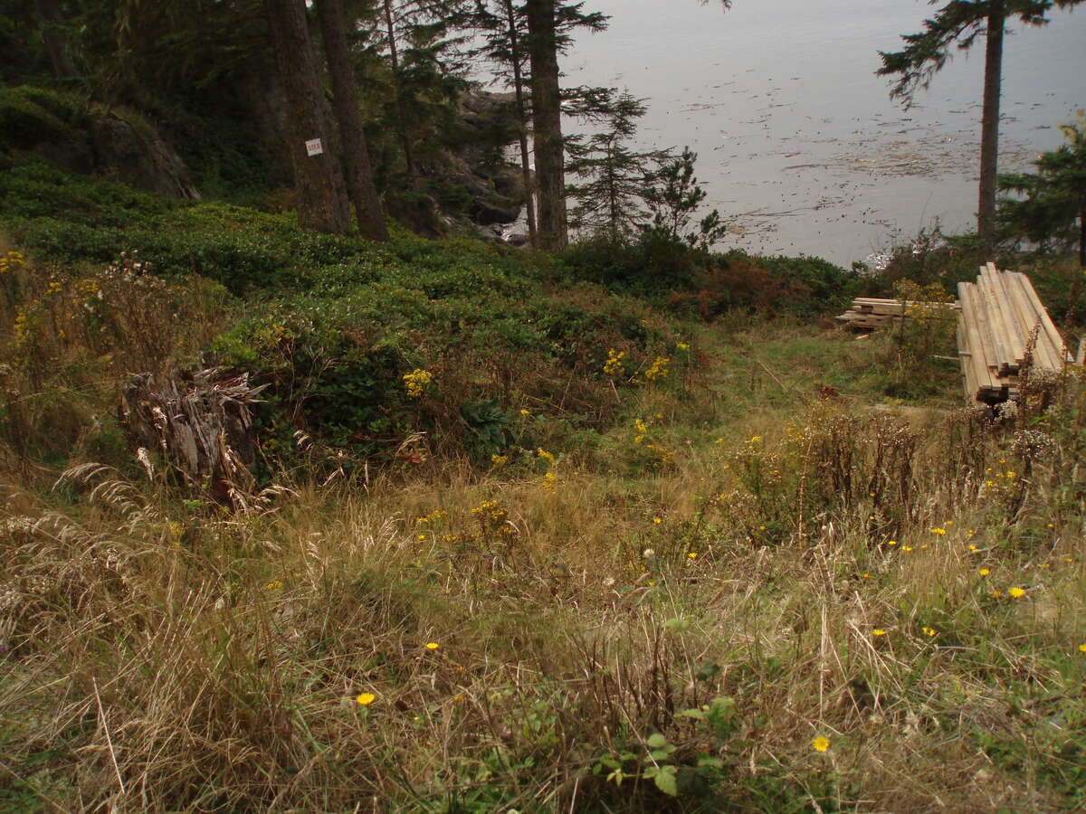 Rare natural rock cove