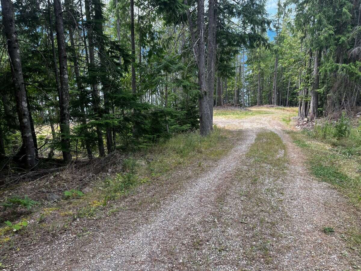 Private Waterfront 300ft. 7.2 acres ready to build