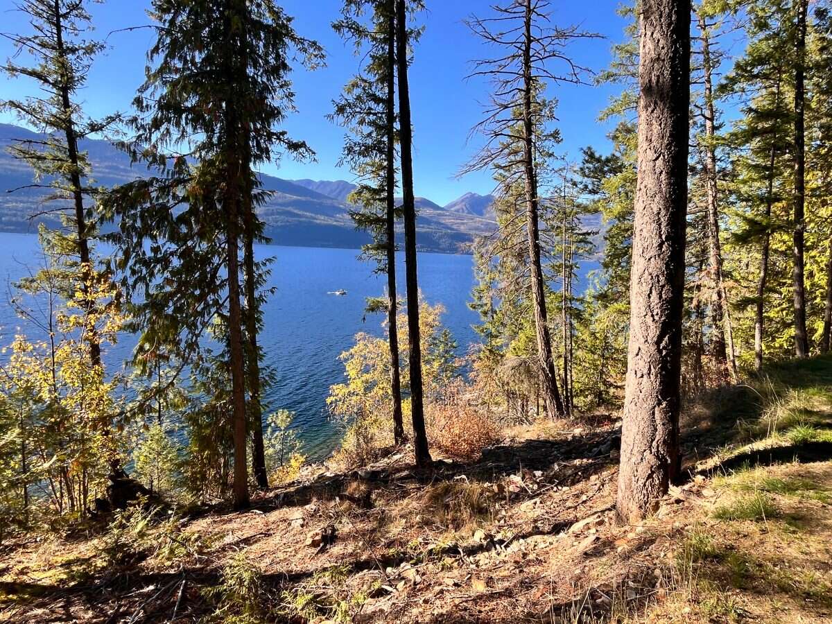 Private Waterfront 300ft. 7.2 acres ready to build