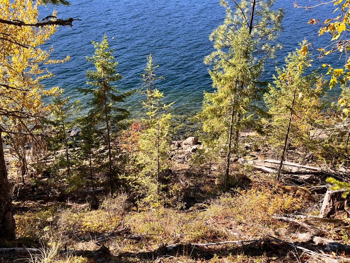 Private Waterfront 300ft. 7.2 acres ready to build