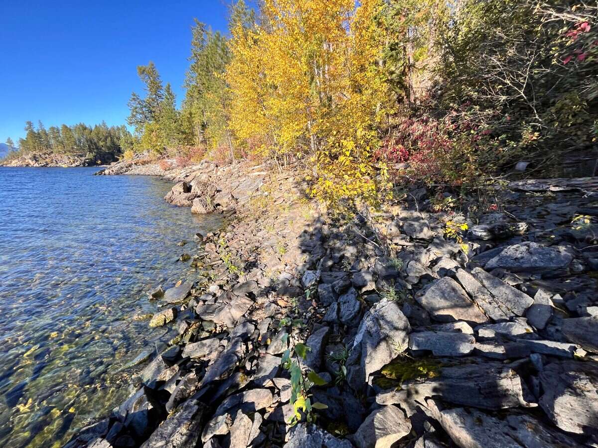 Private Waterfront 300ft. 7.2 acres ready to build