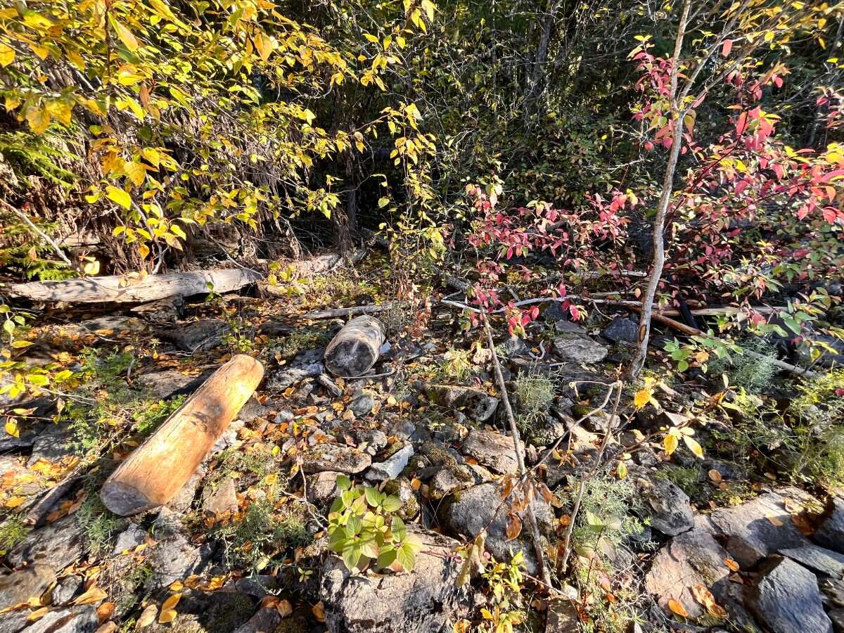 Private Waterfront 300ft. 7.2 acres ready to build
