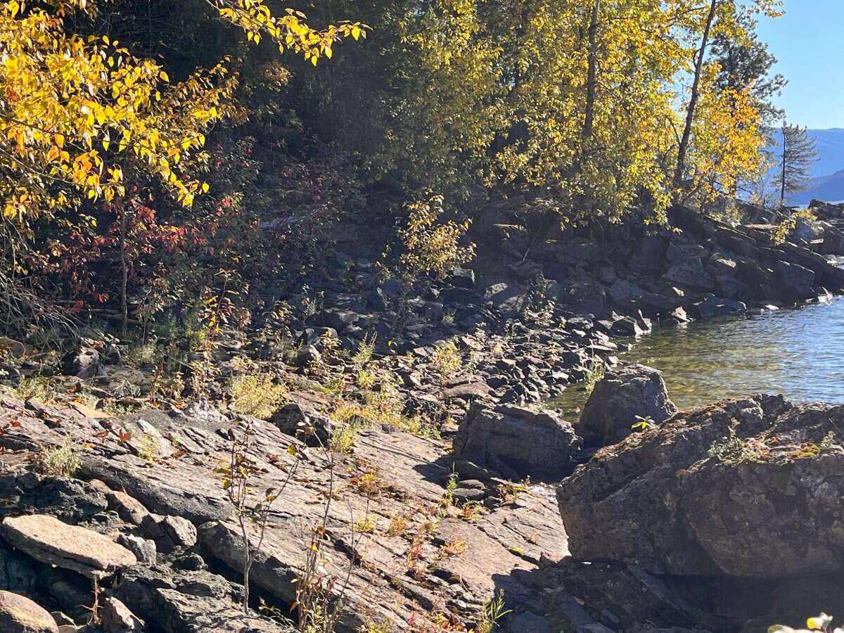 Private Waterfront 300ft. 7.2 acres ready to build