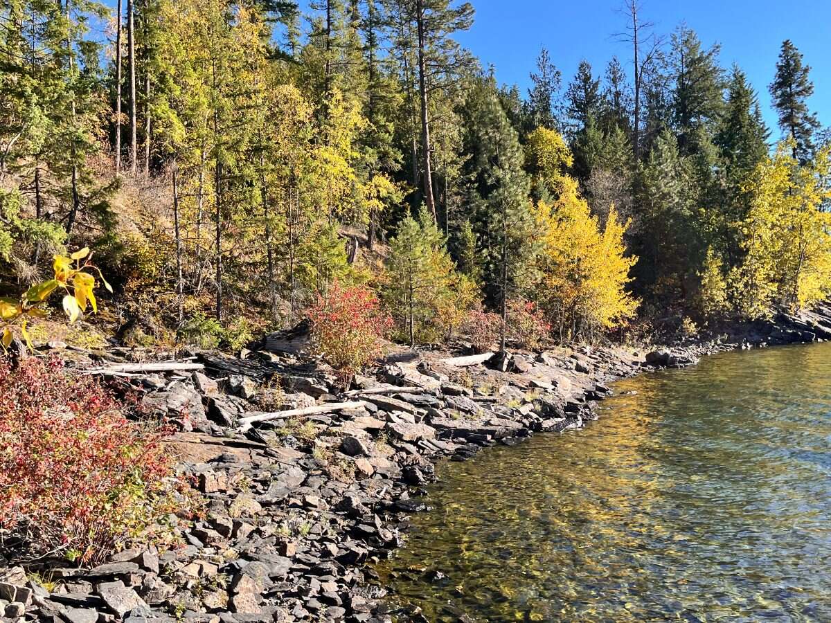 Private Waterfront 300ft. 7.2 acres ready to build