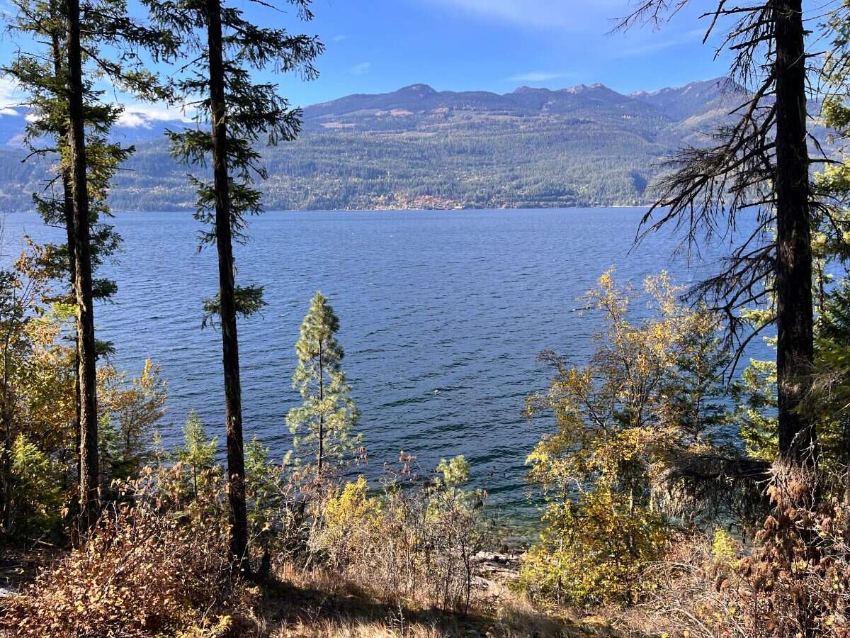 Private Waterfront 300ft. 7.2 acres ready to build