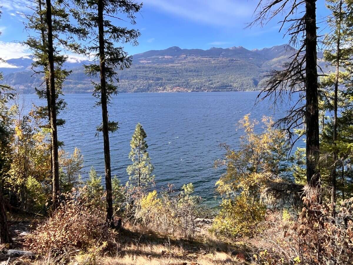 Private Waterfront 300ft. 7.2 acres ready to build