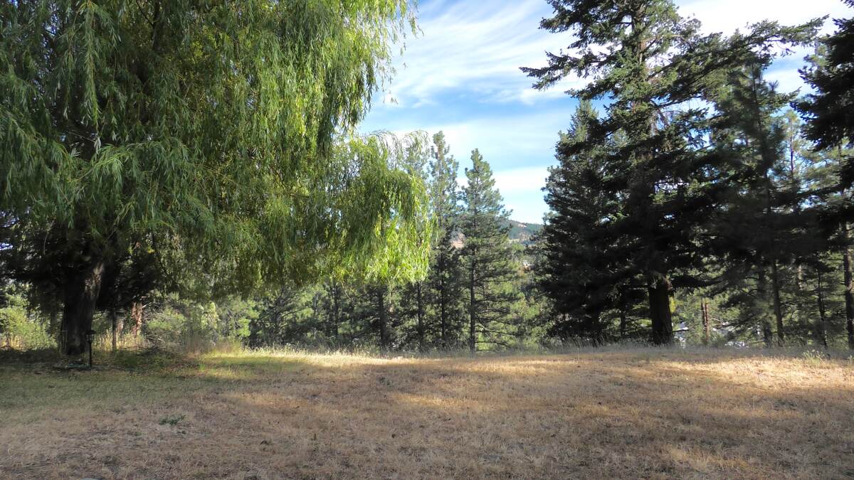 Vacant Land / Acreage For Sale in Princeton, BC