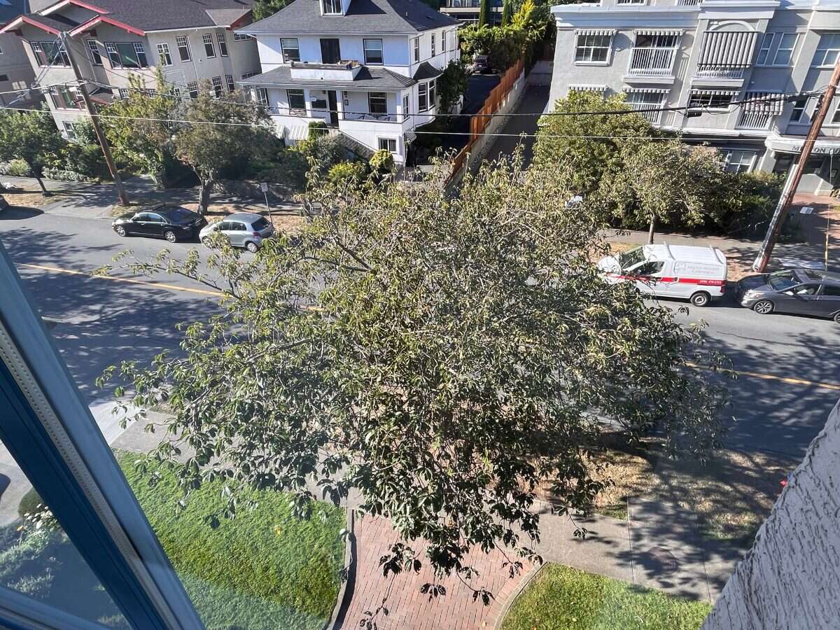 2 bedroom, top floor condo in Cook St Village