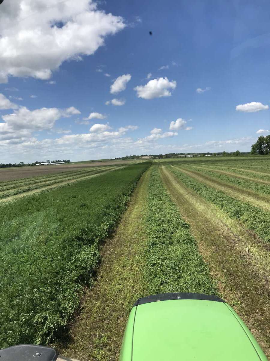 Above Ontario average for crop production