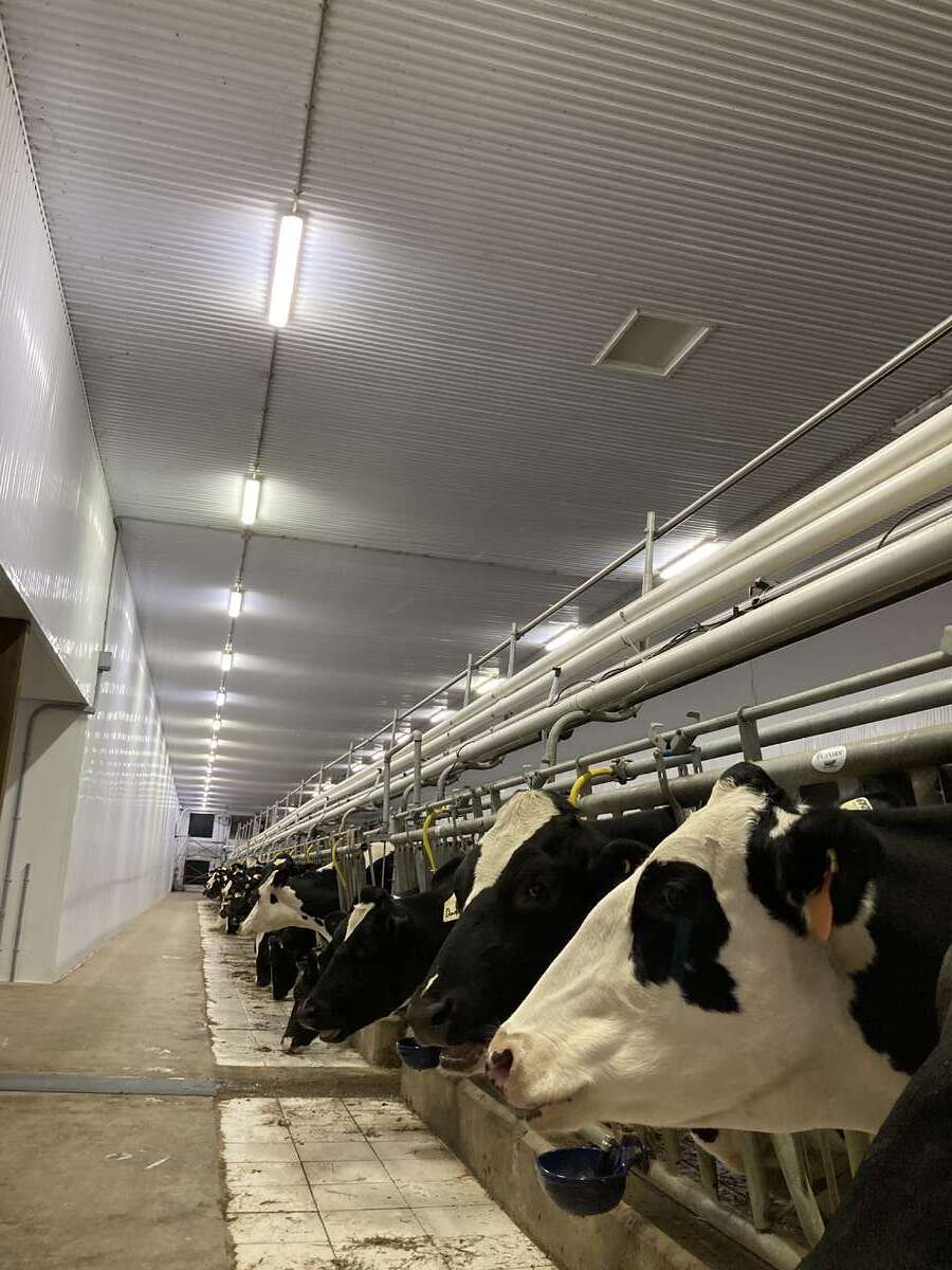 8th in Ontario for $ produced per cow