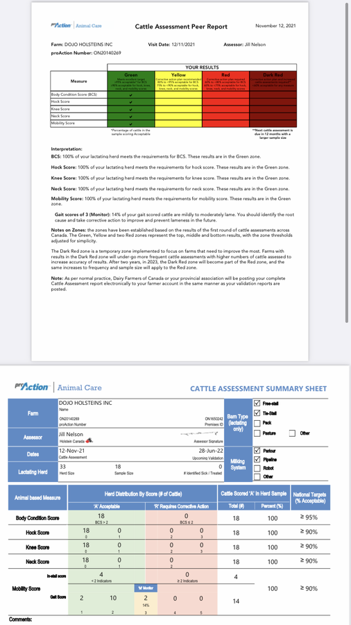great animal care assessments