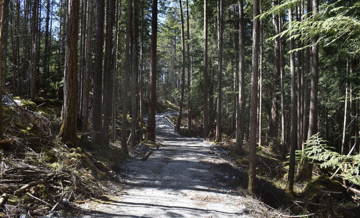 Main Road