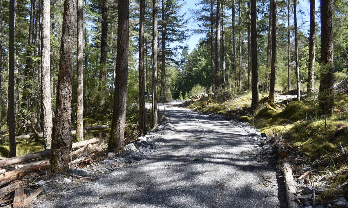 Main Road