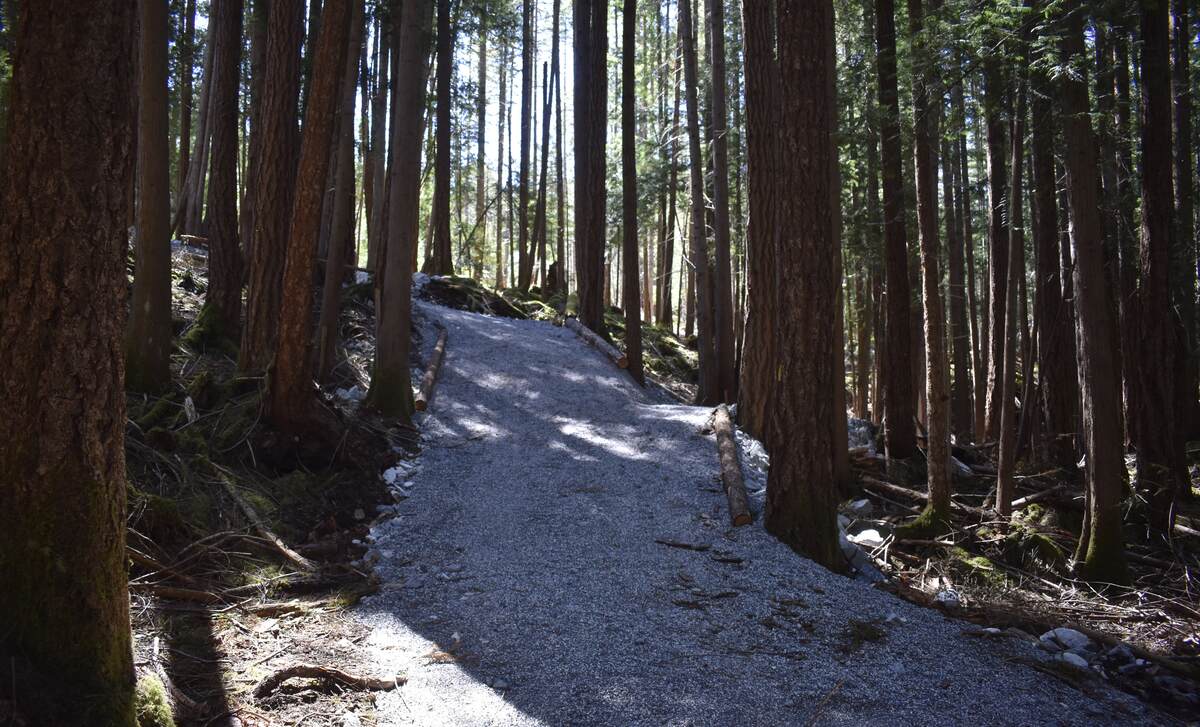 Lower Road Access