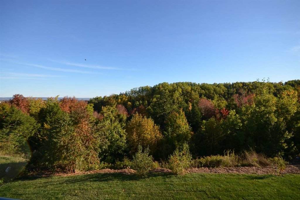 Fall View