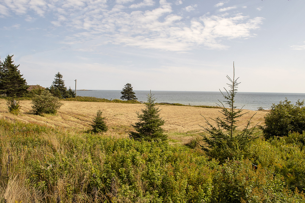 Waterfront Property / Vacant Land For Sale on Grand Manan Island, NB