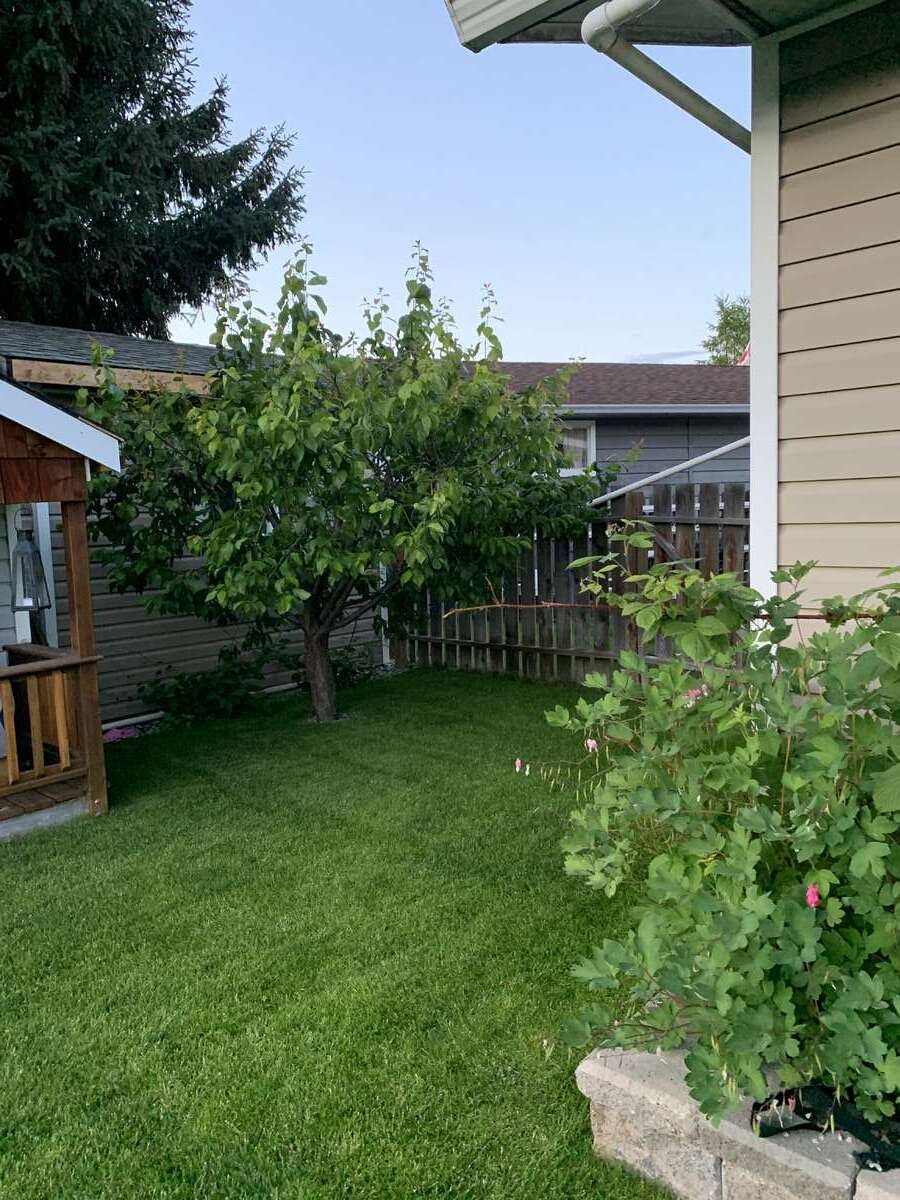 Welcome to your private oasis!